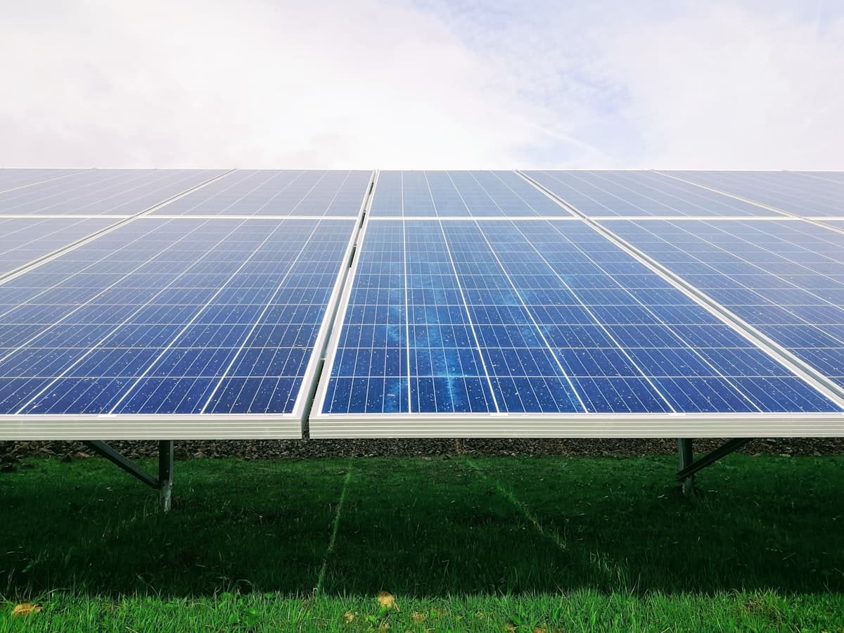 Rows of solar panels standing level on green grass under a bright sky