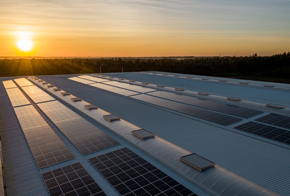 Rows of solar panels across a commercial office rooftop at sunset