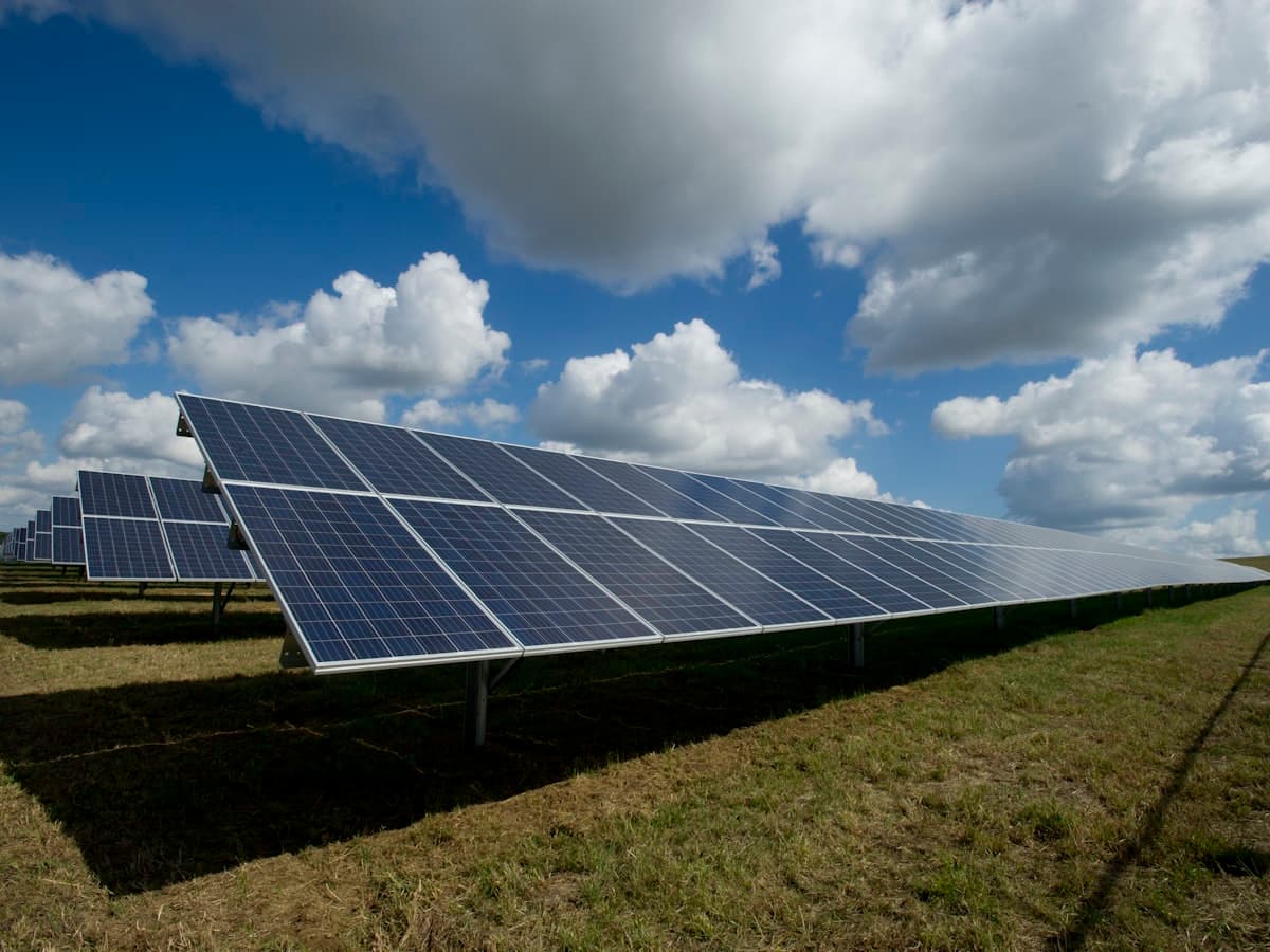 A large field of solar panels under a bright blue sky