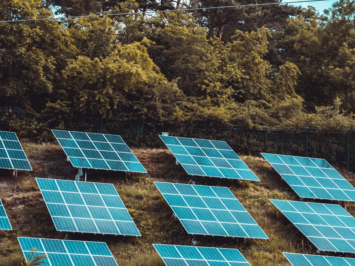 Rows of solar panels on a wooded hillside